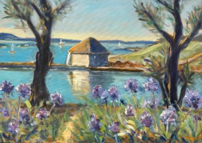 Paysage de Bretagne - Ile Bréhat